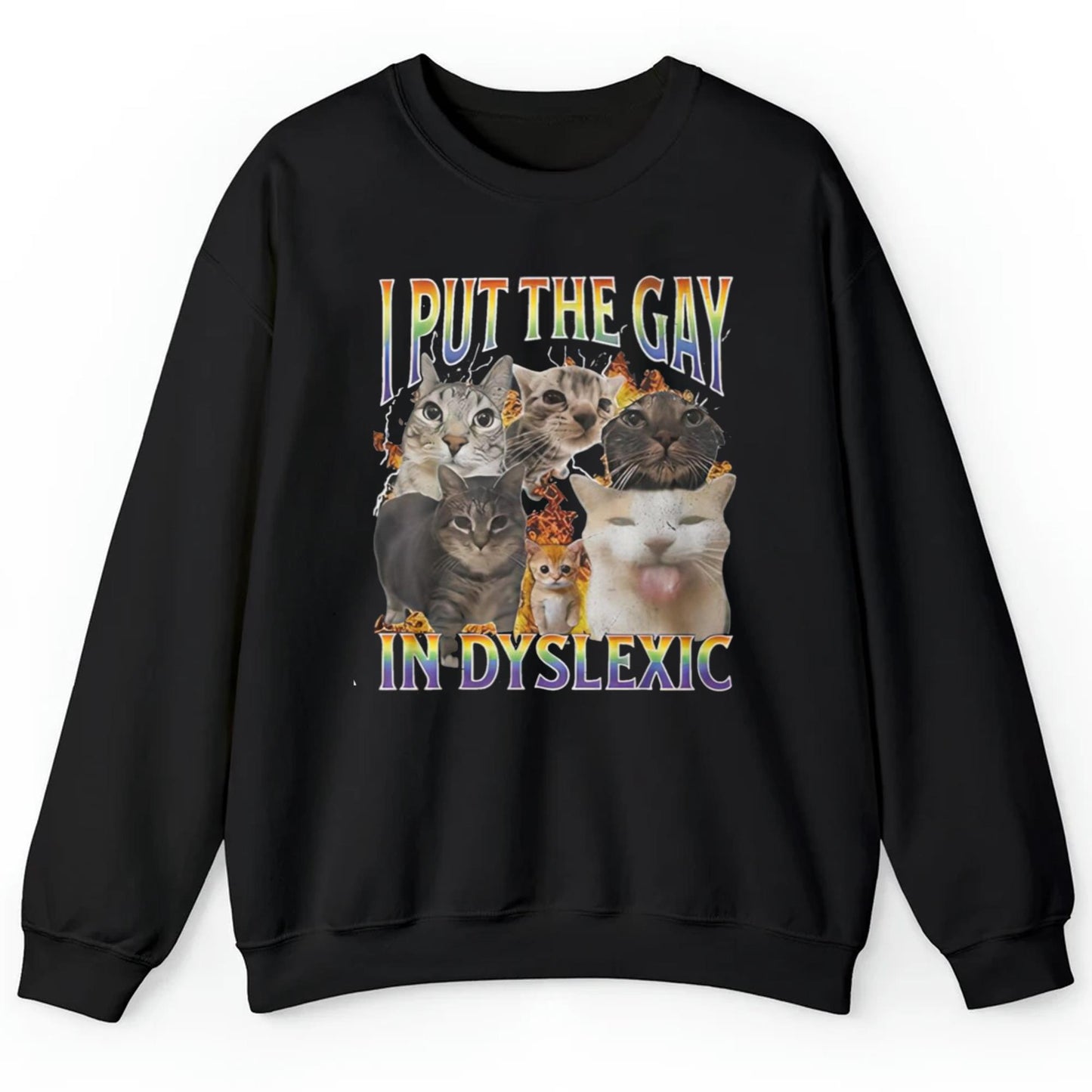 I Put The Gay In Dyslexic Cat Shirt