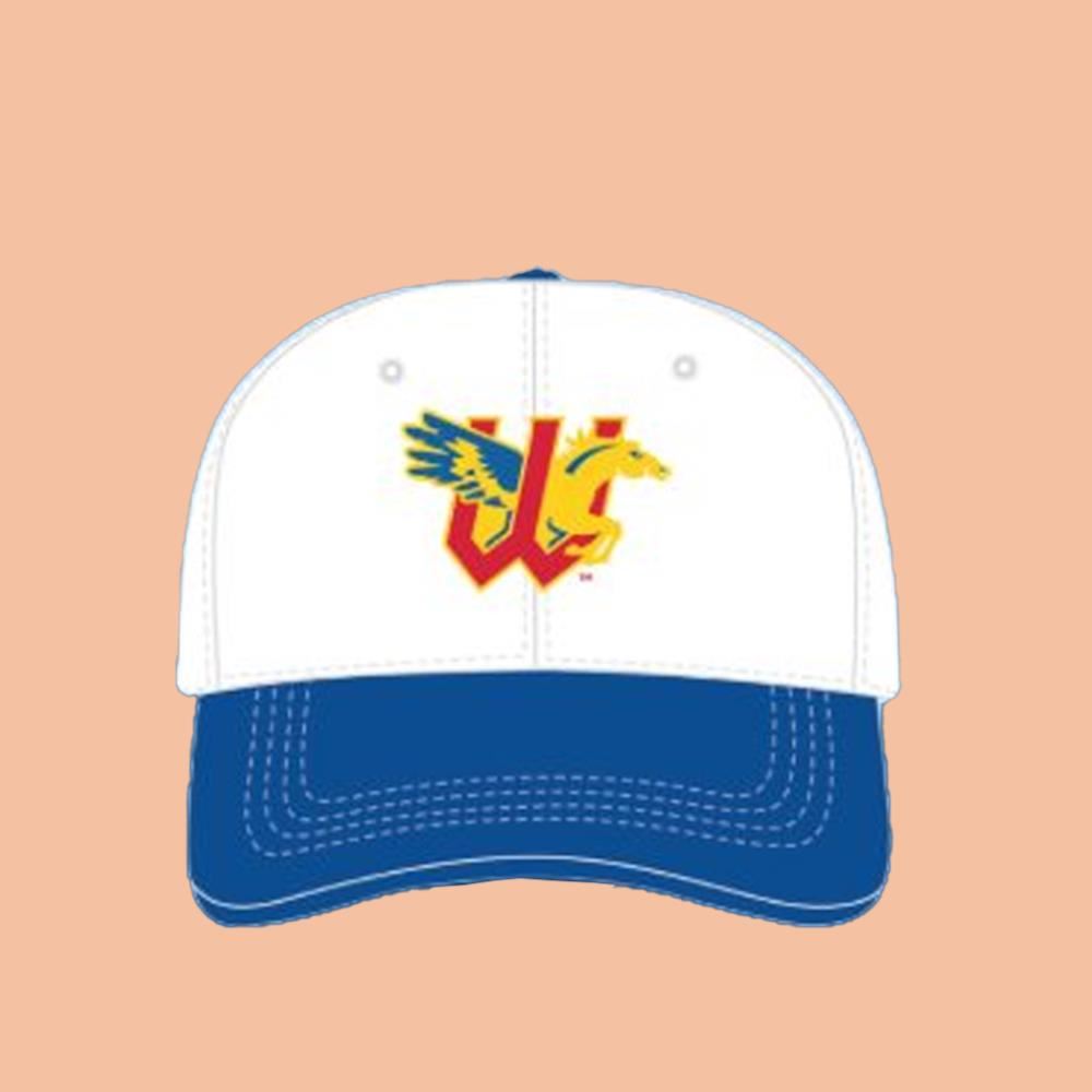 2025 Wichita Wind Surge Hat Giveaway