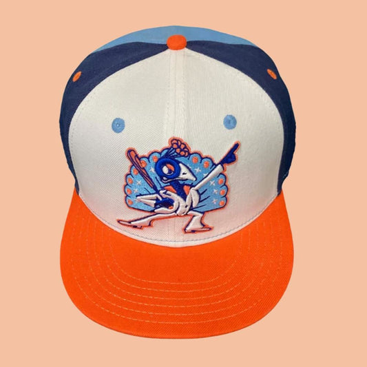 Carolina Disco Turkeys Hat Giveaway 2025