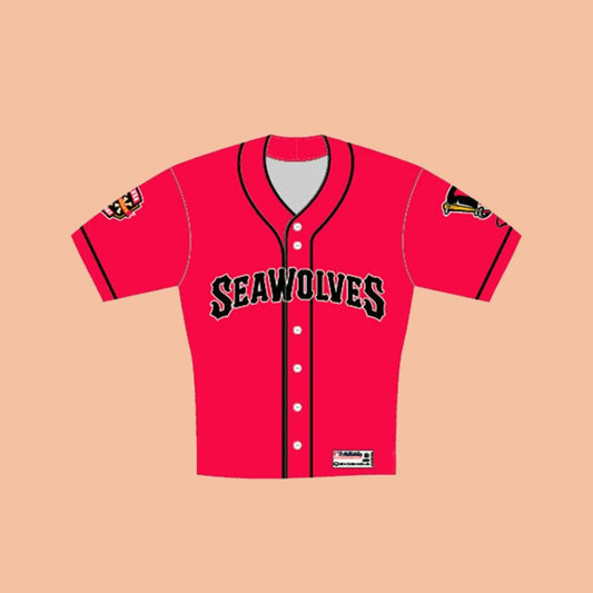 SeaWolves On-Field Game Jersey Giveaway 2025